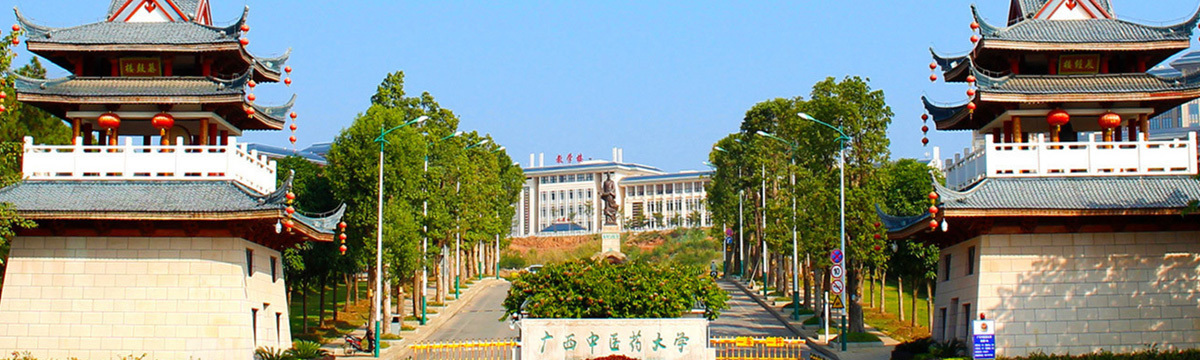 大图1
