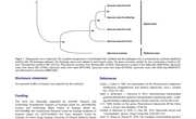 2020-The complete mitochondrial genome of Phascolosoma similis Sipuncula Phascolosomatidae from Beibu Bay