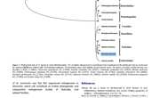 2020-The first complete mitochondrial genome of MAMMILLA from Mammilla mammata Littorinimorpha Naticidae