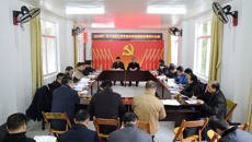 bat365在线官网平台到隆安县帮扶联系村集体办公