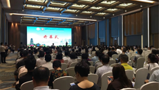 全国第十九次外周血管病介入新技术研讨会暨2019广西医师协会介入医师分会学术年会在邕召开