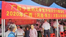 中医中药中国行——中医药健康文化推进主题义诊活动走进东兰