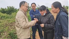 bat365在线官网平台药学院黄荣韶教授应邀到崇左市调研指导中药材产业