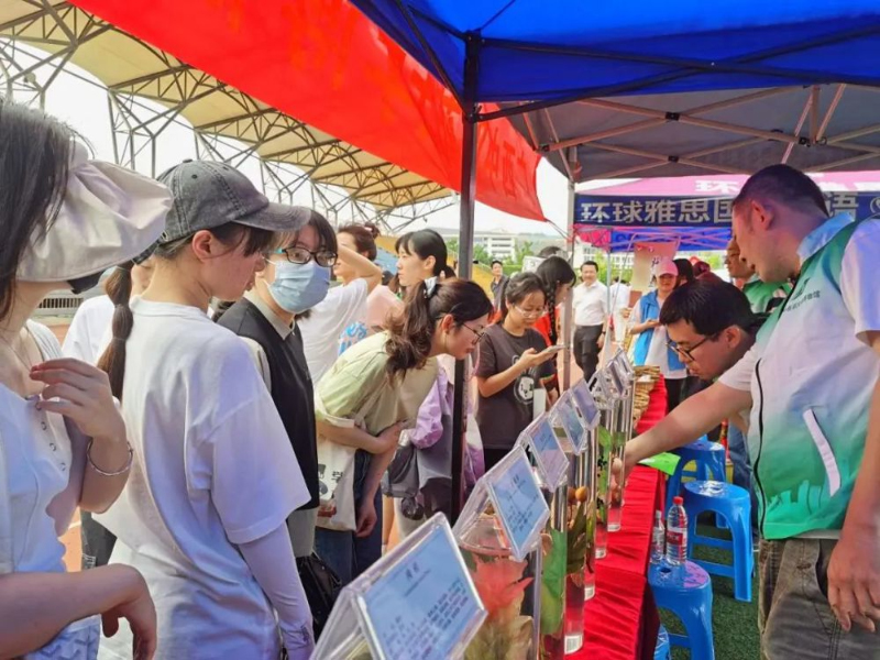 “壮族三月三”文化艺术节上的壮药展示。bat365在线官网平台供图