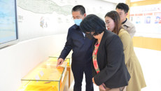 马来西亚拉曼管理与工艺大学到附属国际壮医医院考察交流