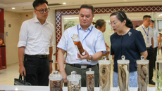 中国中医药报社社长陆静带队到附属国际壮医医院调研