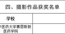 【喜讯】赛院在第十届全区大学生网络文化节推选展示活动中荣获佳绩