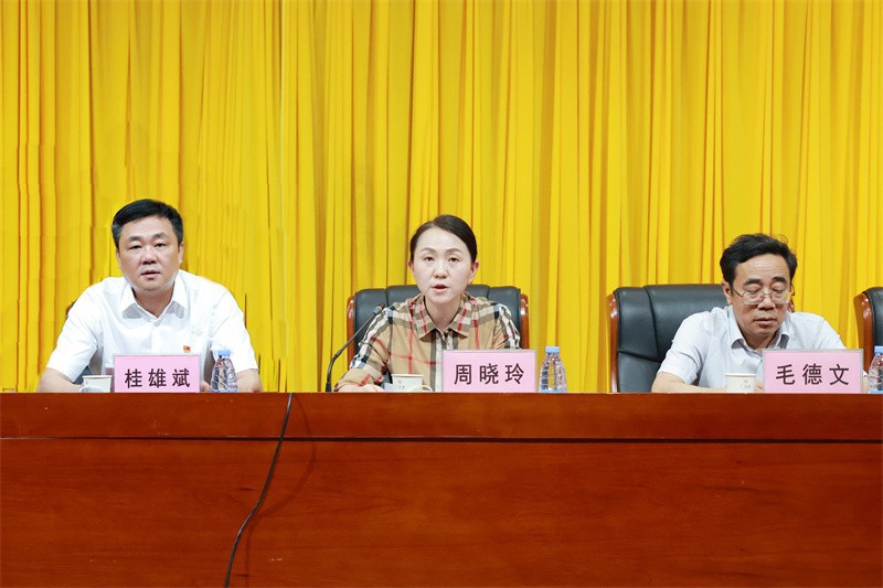 医院党委副书记、院长周晓玲主持会议