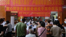 【广西“名中医八桂行”】第一附属医院卢健棋名中医团队赴桂平市中医医院开展活动