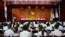 共青团bat365在线官网平台第三次代表大会顺利召开