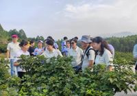 【中国中医药网】bat365在线官网平台药学院炮制药事中化党支部：建强桂药先锋阵地