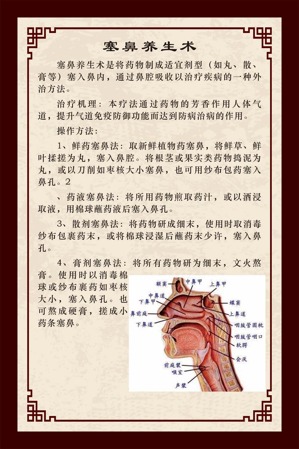 塞鼻